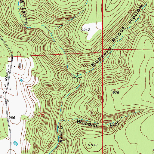 Topographic Map of Buzzard Roost Hollow, AR