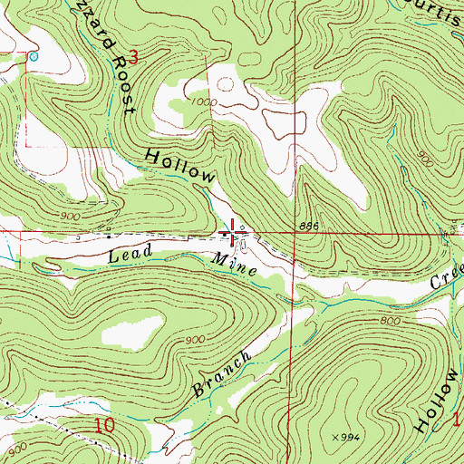 Topographic Map of Buzzard Roost Hollow, AR