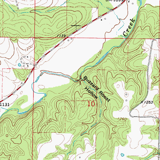 Topographic Map of Buzzard Roost Hollow, AR
