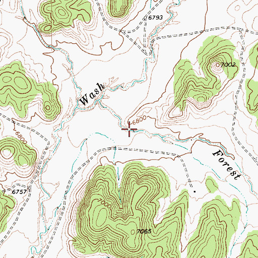 Topographic Map of Forest Lake Wash, AZ