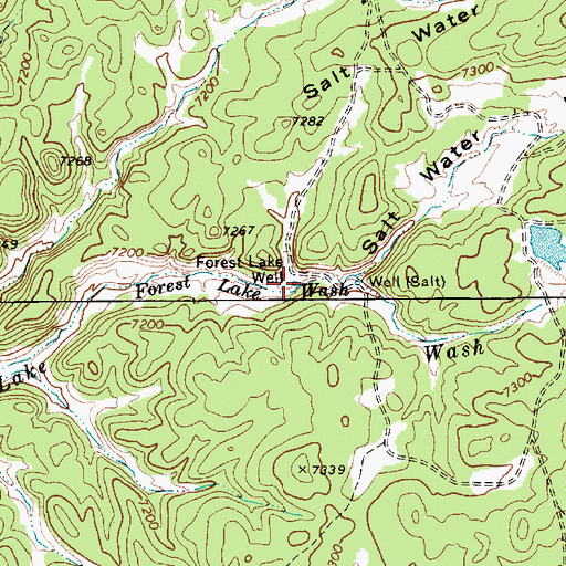 Topographic Map of Forest Lake Well, AZ