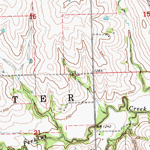 Topographic Map of Township of Center, KS