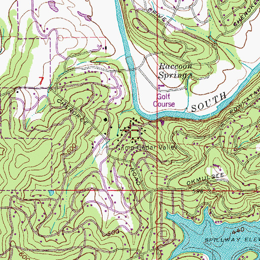 Topographic Map of Camp Cedar Valley, AR