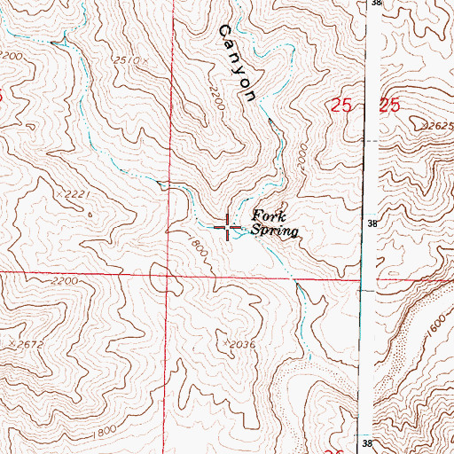 Topographic Map of Fork Spring, AZ