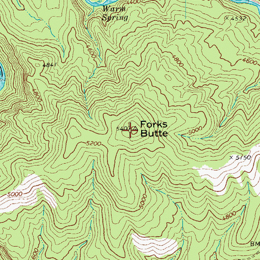 Topographic Map of Forks Butte, AZ