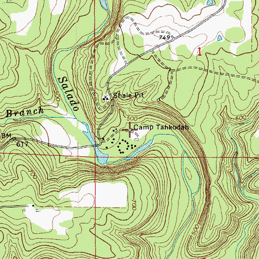 Topographic Map of Camp Tahkodah, AR