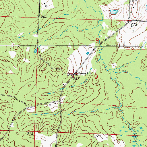 Topographic Map of Cana Church, AR