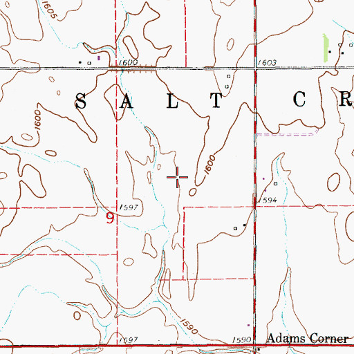 Topographic Map of Township of Salt Creek, KS