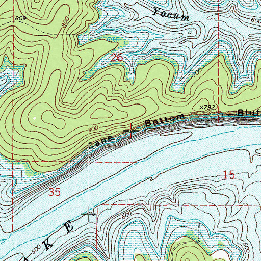 Topographic Map of Cane Bottom Bluff, AR