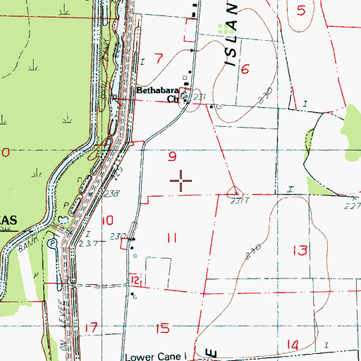 Topographic Map of Cane Island, AR