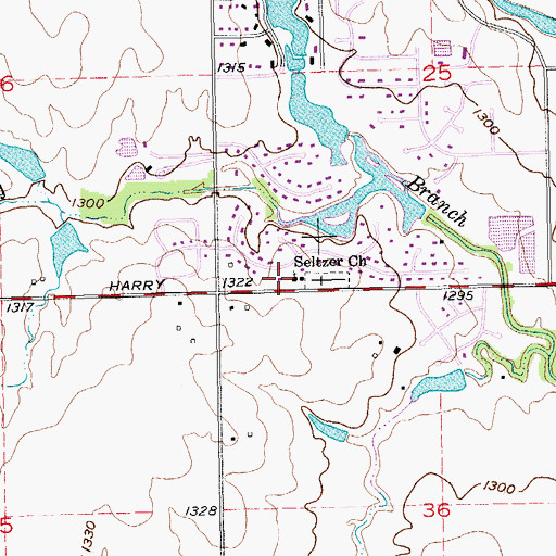 Topographic Map of Seltzer Church, KS