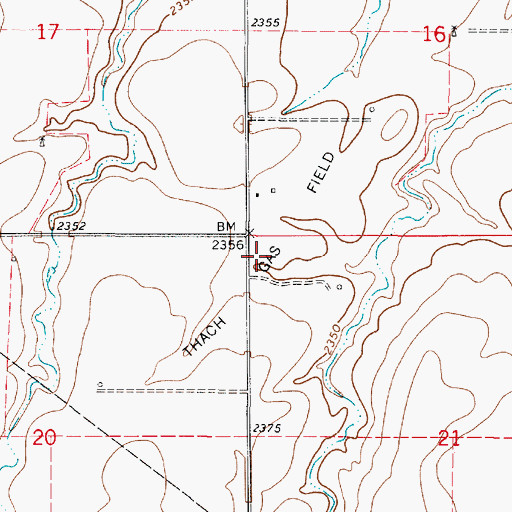 Topographic Map of Thach Gas Field, KS