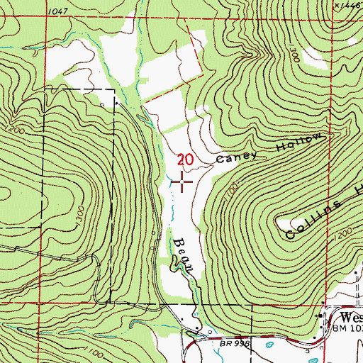 Topographic Map of Caney Hollow, AR