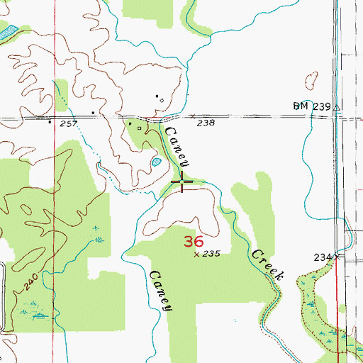Topographic Map of Caney Slough, AR