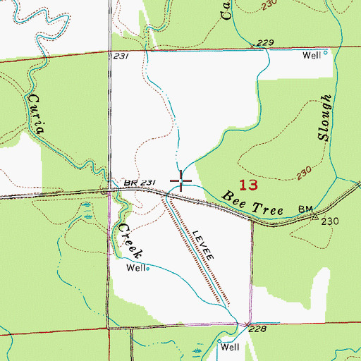 Topographic Map of Caney Slough, AR