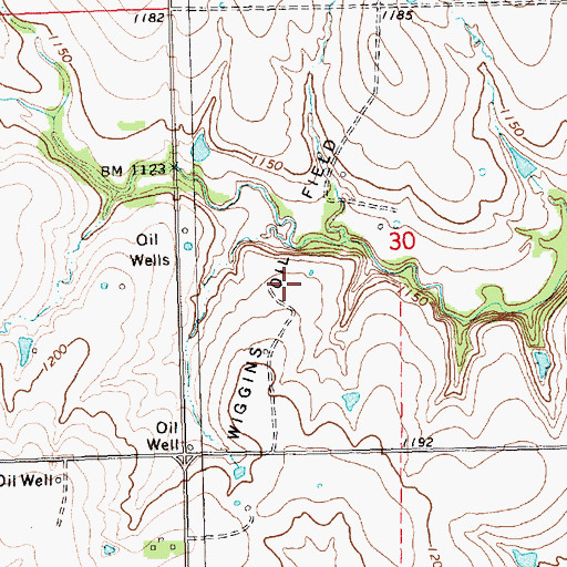 Topographic Map of Wiggins Oil Field, KS