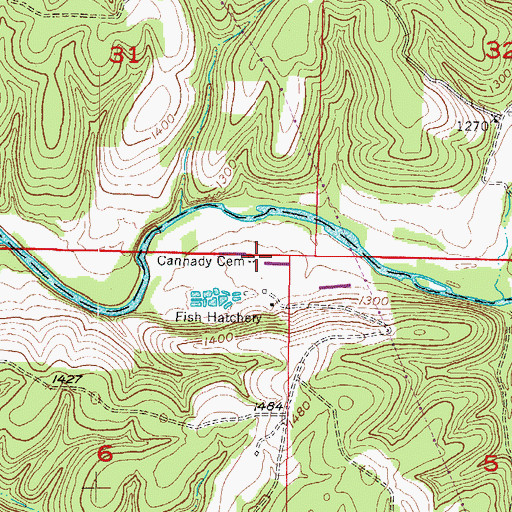 Topographic Map of Cannady Cemetery, AR