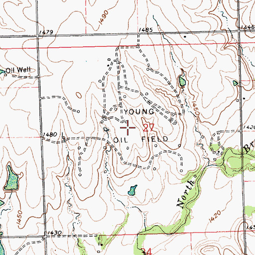 Topographic Map of Young Oil Field, KS