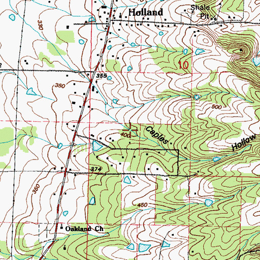 Topographic Map of Caples Hollow, AR