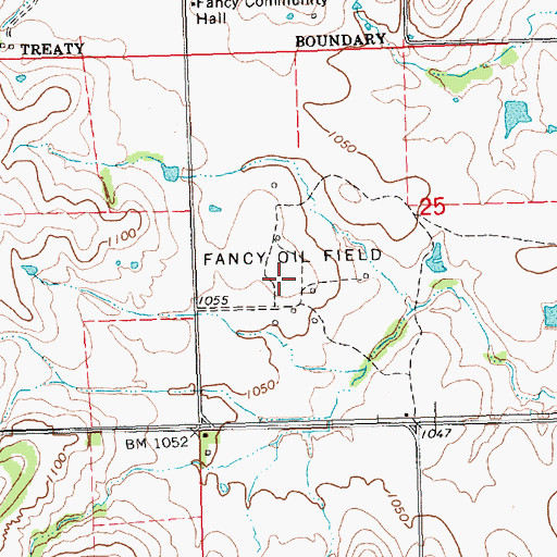 Topographic Map of Fancy Oil Field, KS