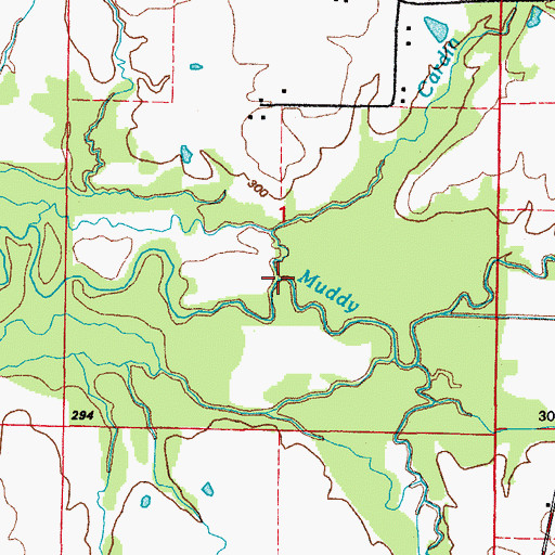Topographic Map of Cardin Branch, AR