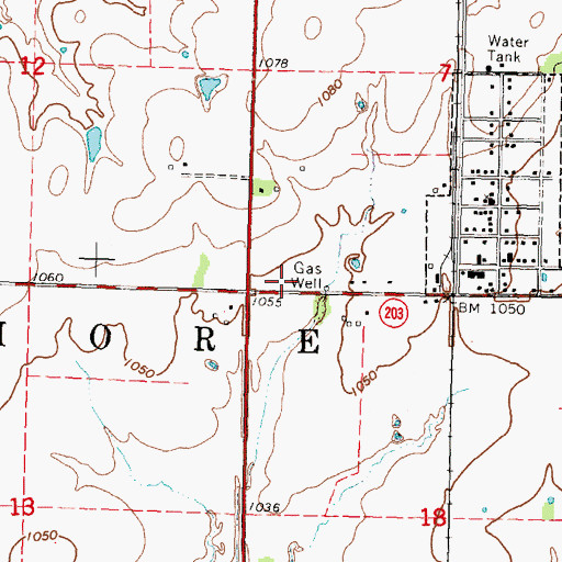 Topographic Map of Township of Elsmore, KS