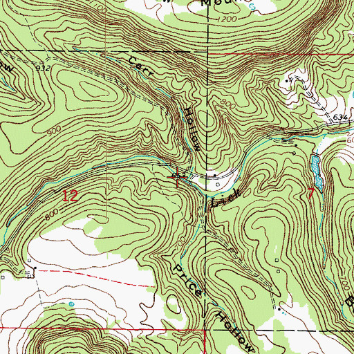 Topographic Map of Carr Hollow, AR