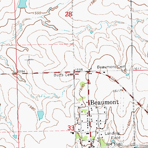 Topographic Map of Butts Cemetery, KS