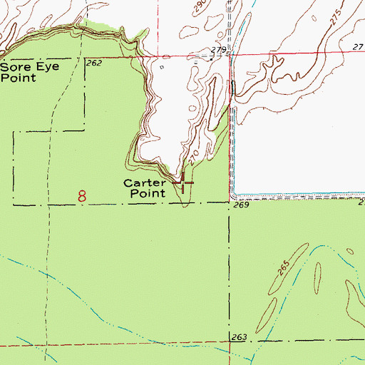 Topographic Map of Carter Point, AR