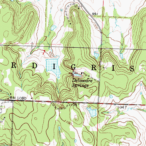 Topographic Map of Delaware Springs, KS