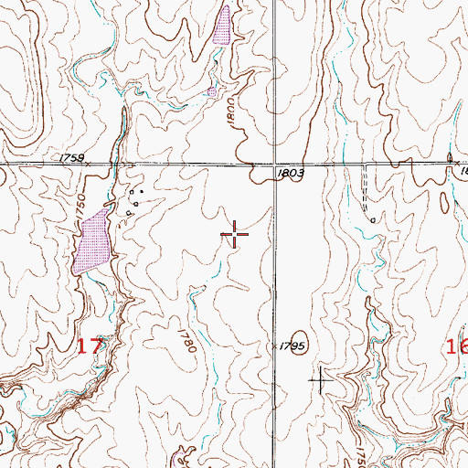 Topographic Map of Township of Center, KS