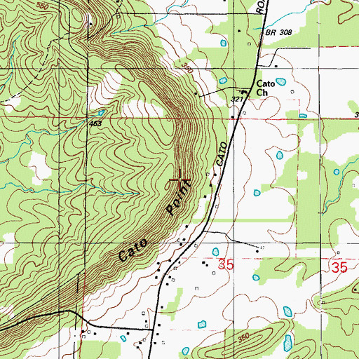 Topographic Map of Cato Point, AR