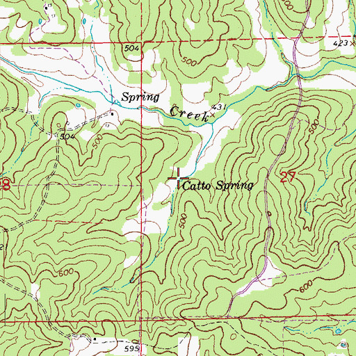 Topographic Map of Catto Spring, AR