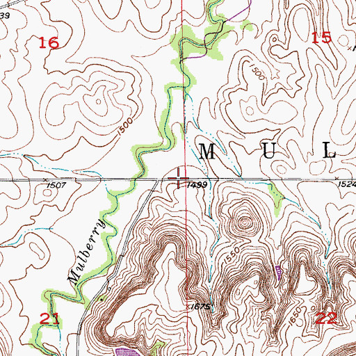 Topographic Map of Township of Mulberry, KS