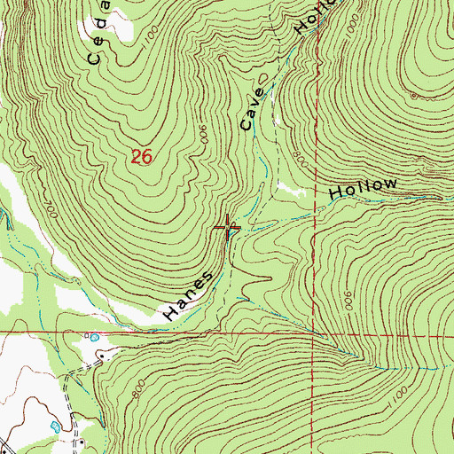 Topographic Map of Cave Hollow, AR