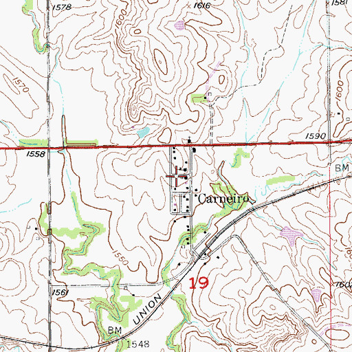 Topographic Map of Carneiro, KS