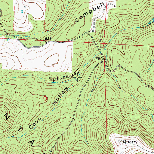 Topographic Map of Cave Hollow, AR