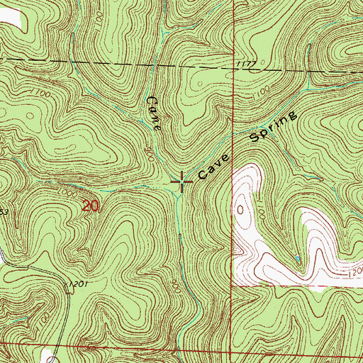 Topographic Map of Cave Spring Hollow, AR