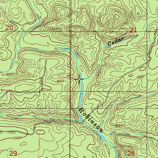 Topographic Map of Cedar Branch, AR