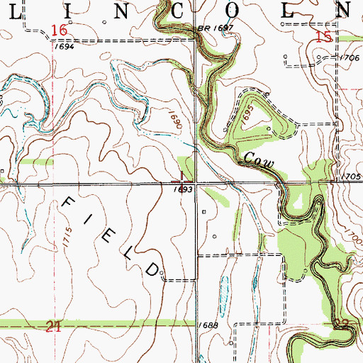 Topographic Map of Township of Lincoln, KS