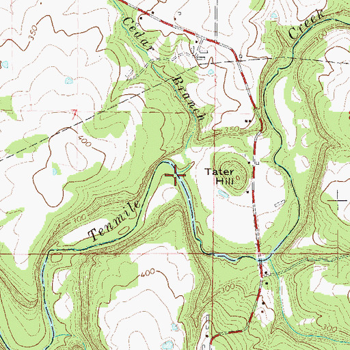 Topographic Map of Cedar Branch, AR