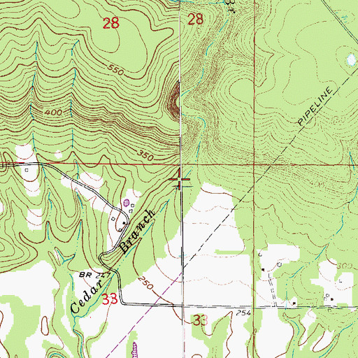 Topographic Map of Cedar Branch, AR