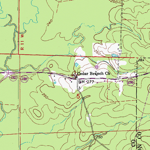 Topographic Map of Cedar Branch Church, AR