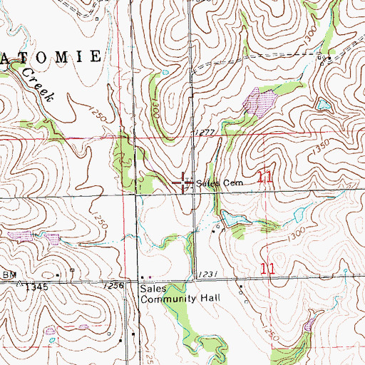 Topographic Map of Sales Cemetery, KS