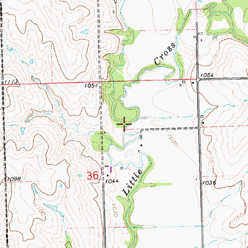 Topographic Map of Long Branch, KS