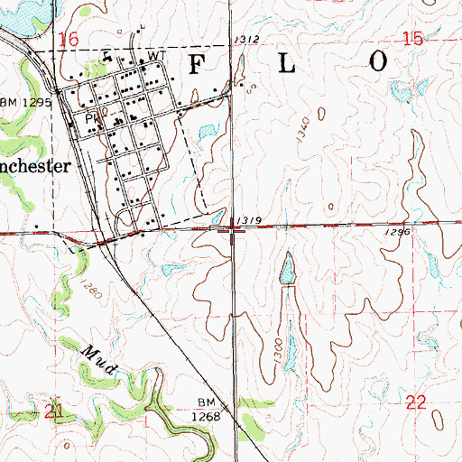 Topographic Map of Township of Flora, KS