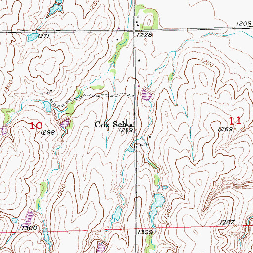 Topographic Map of Cox School, KS