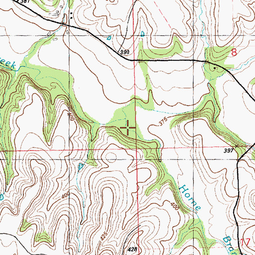 Topographic Map of Horne Branch, KS