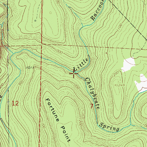 Topographic Map of Chalybeate Spring Creek, AR