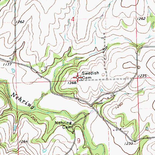 Topographic Map of Swedish Cemetery, KS
